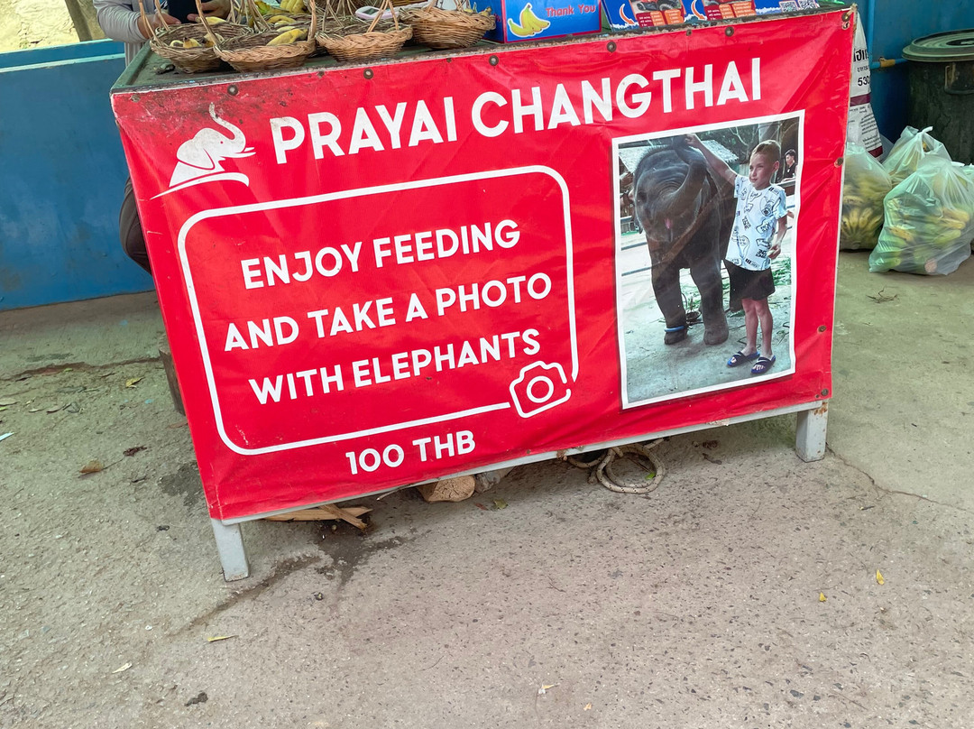 Ban Chang Thai - Elephant Camp景点图片