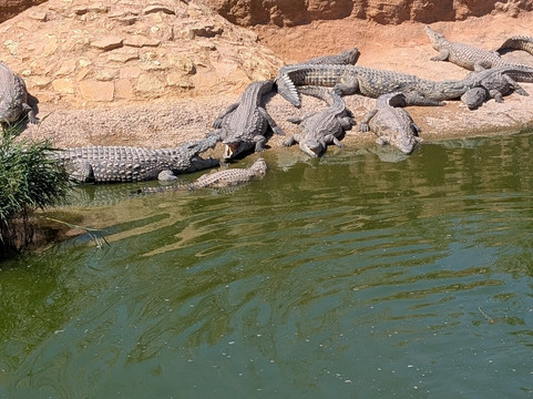 Agadir Rides-阿加迪尔必去景点