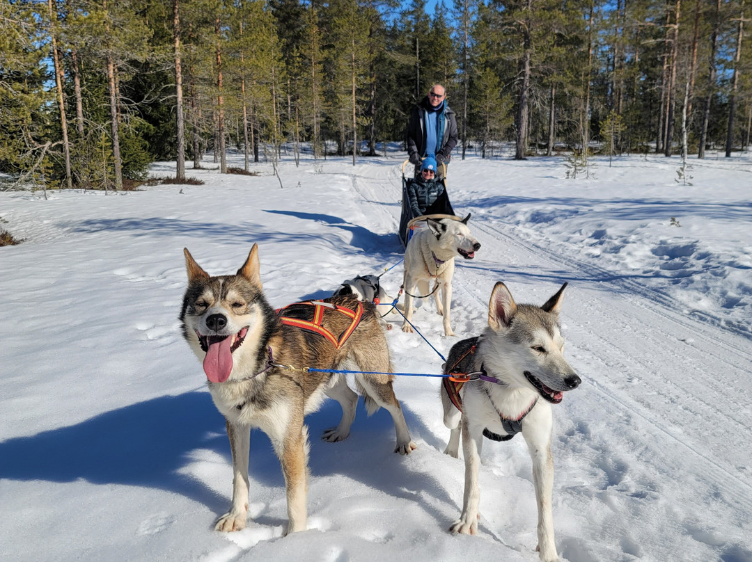 Trysil Husky景点图片
