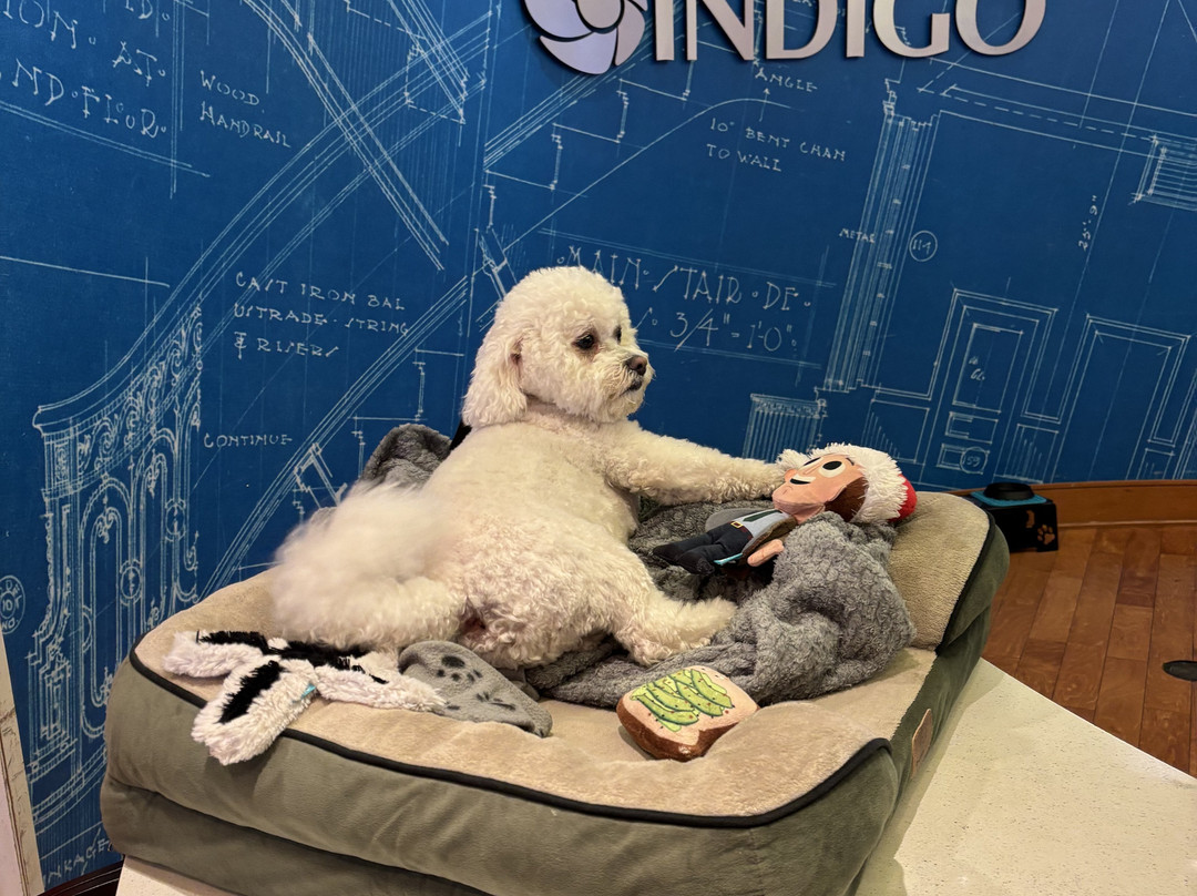 哥伦布市建筑中心英迪格酒店主图