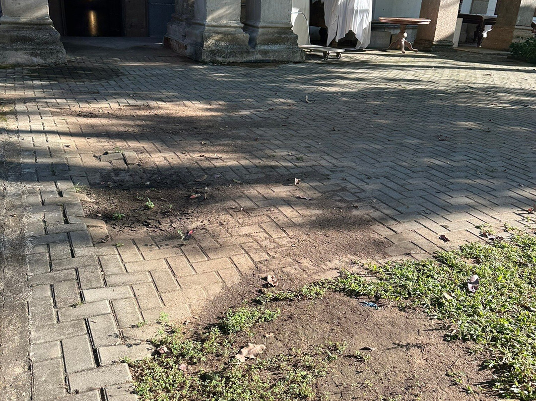 棕榈花园村酒店主图