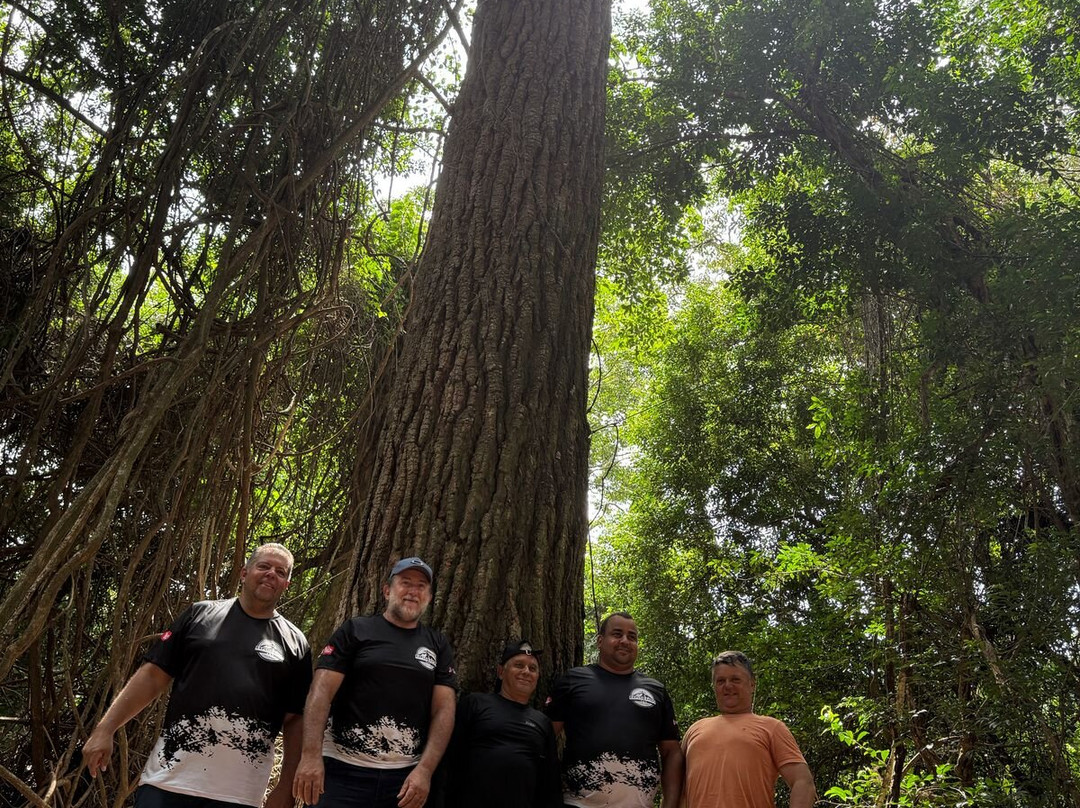 Explorando de 4x4 - Expedições e Ecoturismo-Cidade Gaucha必去景点