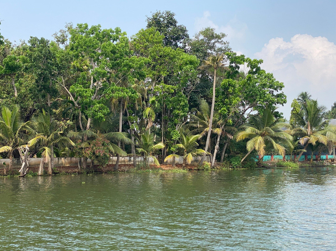 Kochi Holidays - Kochi Tours And Travels景点图片