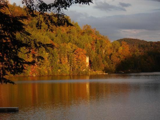 Auberge du Coq de Montagne主图
