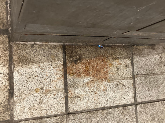 Bremen Hauptbahnhof-不莱梅必去景点