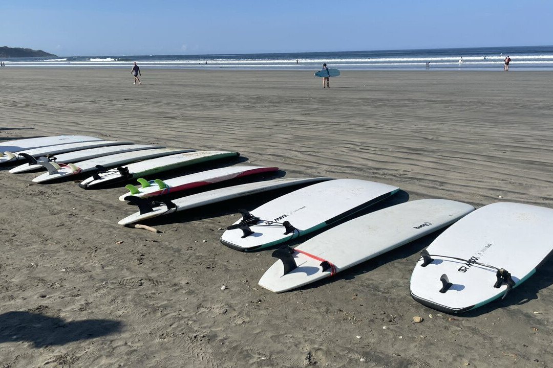 Surf Bikini Retreat景点图片
