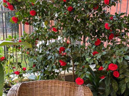 Belsit Bed & Breakfast主图