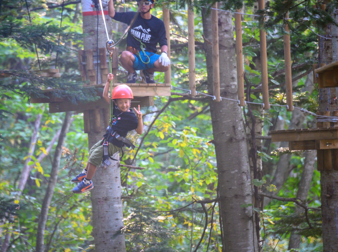 Hanazono Adventure Park-俱知安町必去景点