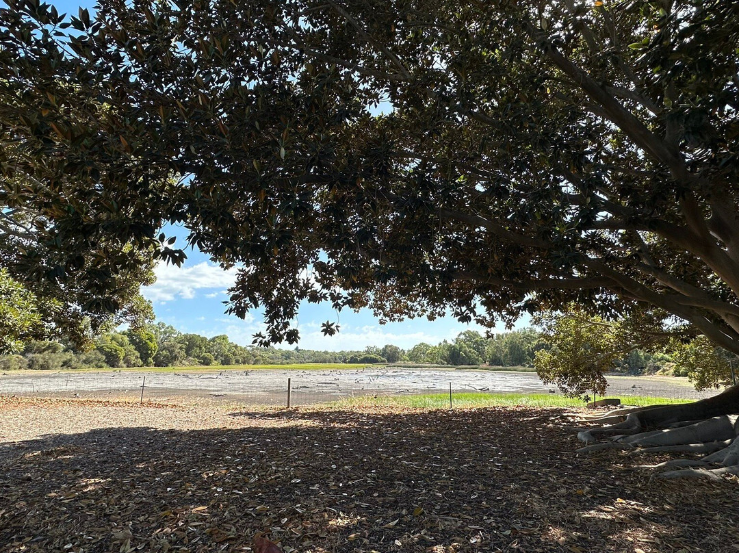 Lake Claremont-Claremont必去景点