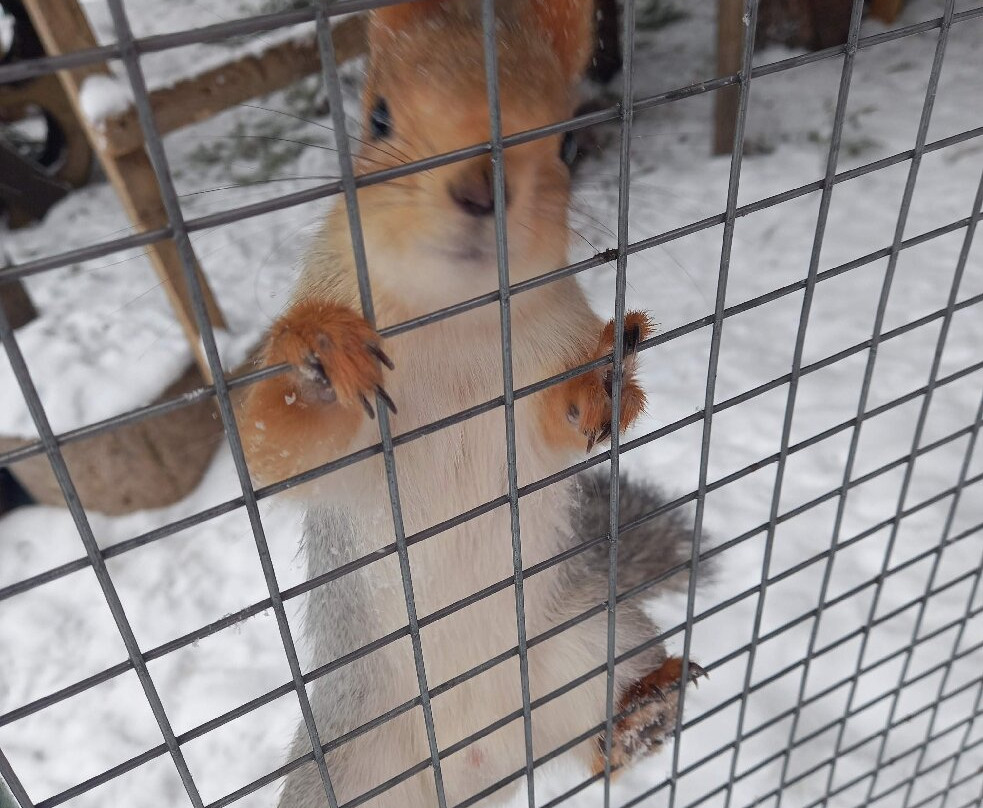 Hotel Complex Rosinka主图