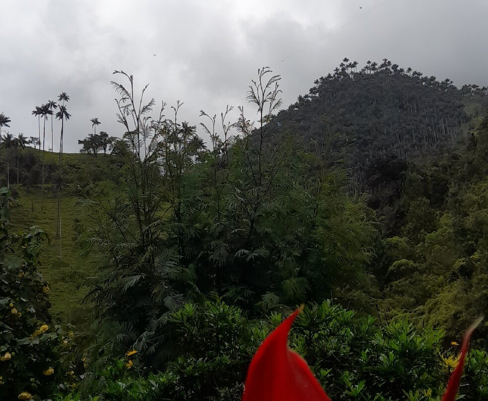 Andes Adventure