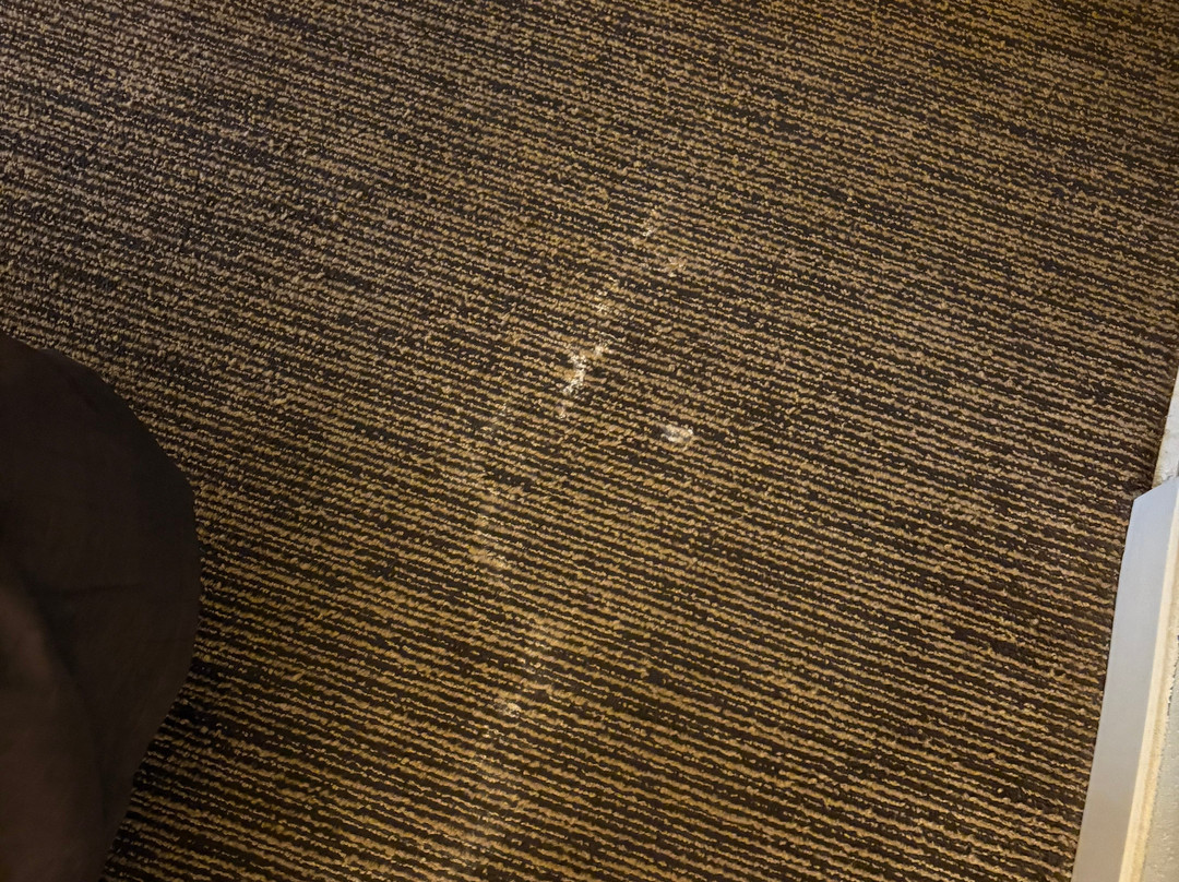 Hampton Inn Savannah-i-95 North主图