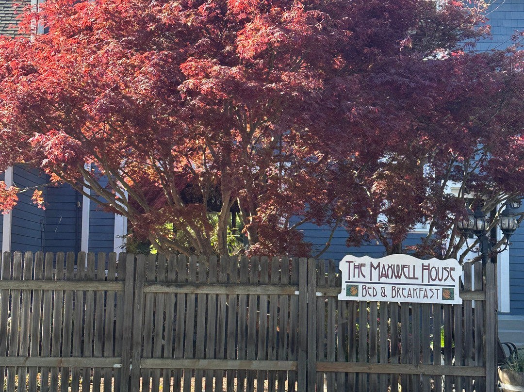 The Maxwell House Bed and Breakfast主图