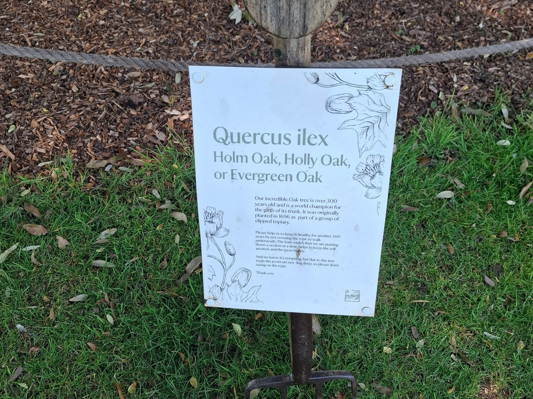 Westbury Court Gardens景点图片