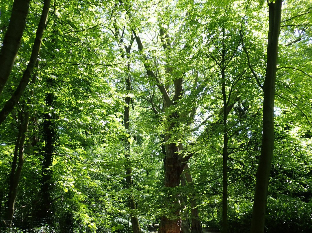 Parc Brugmann-于克勒必去景点