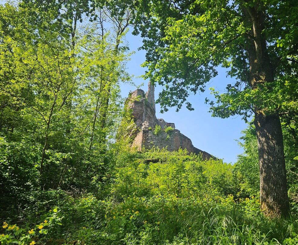 Château Fort de Fleckenstein景点图片