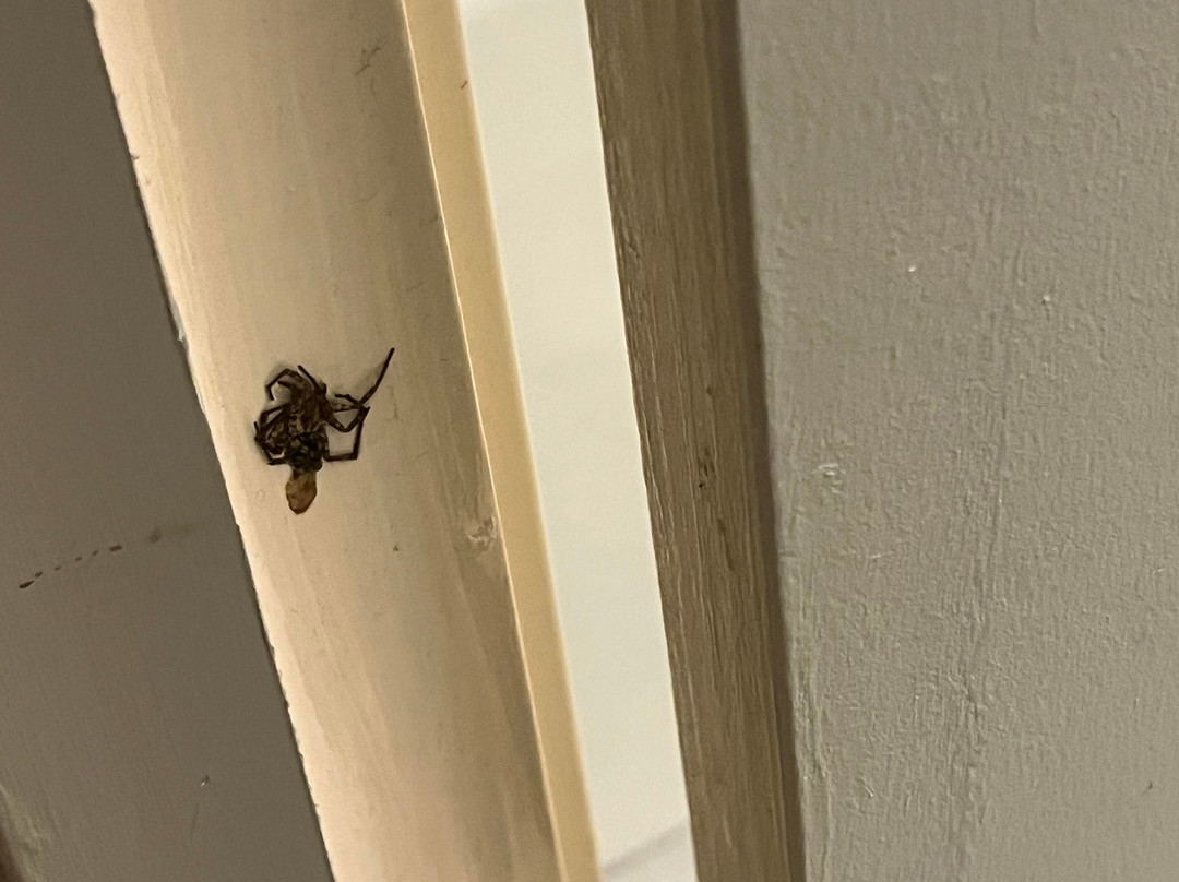 旧金山诺瓦托戴斯酒店主图