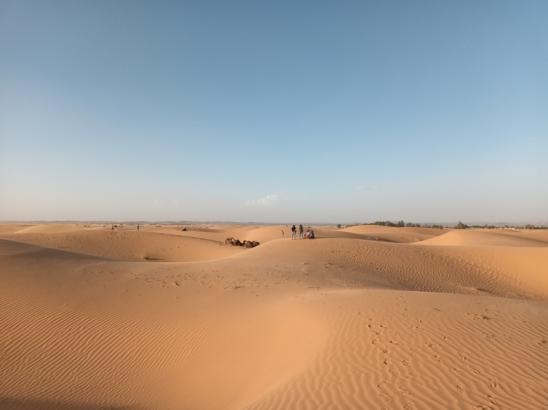 Sahara Dream Tours-伊拉悉迪亚必去景点