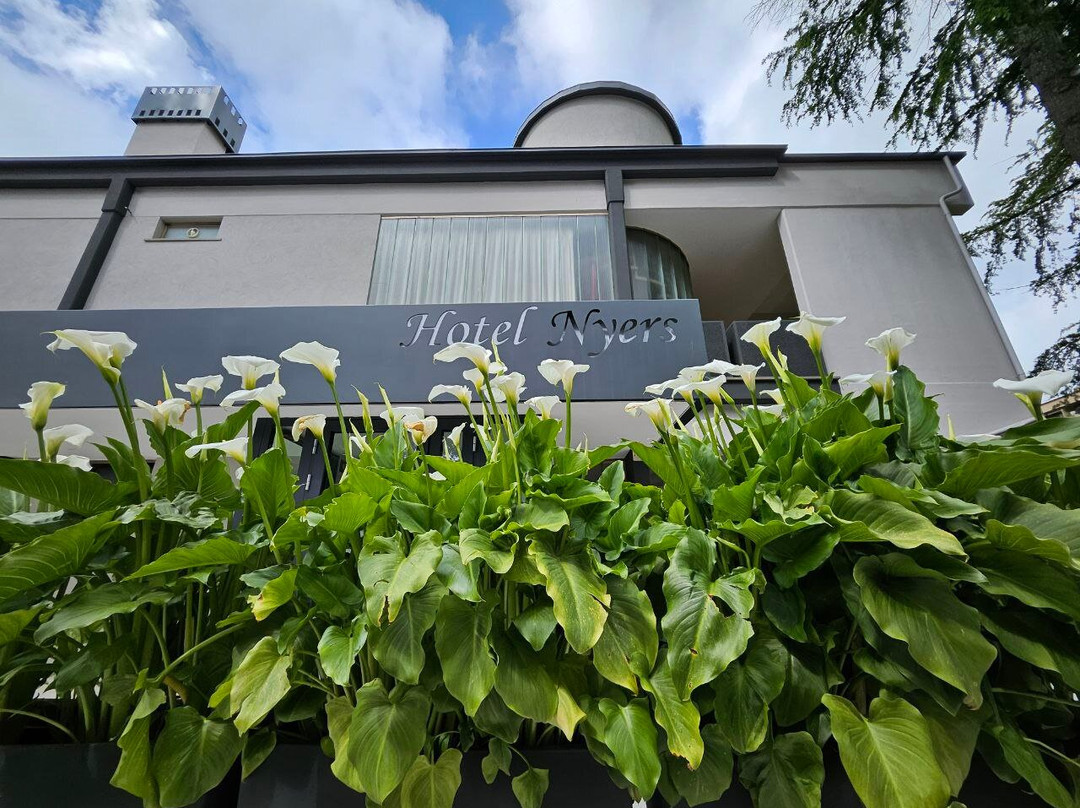 Albergo Nyers主图