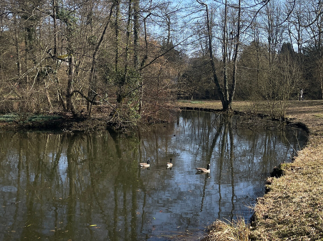 Parc Tournay Solvay-Watermael-Boitsfort必去景点