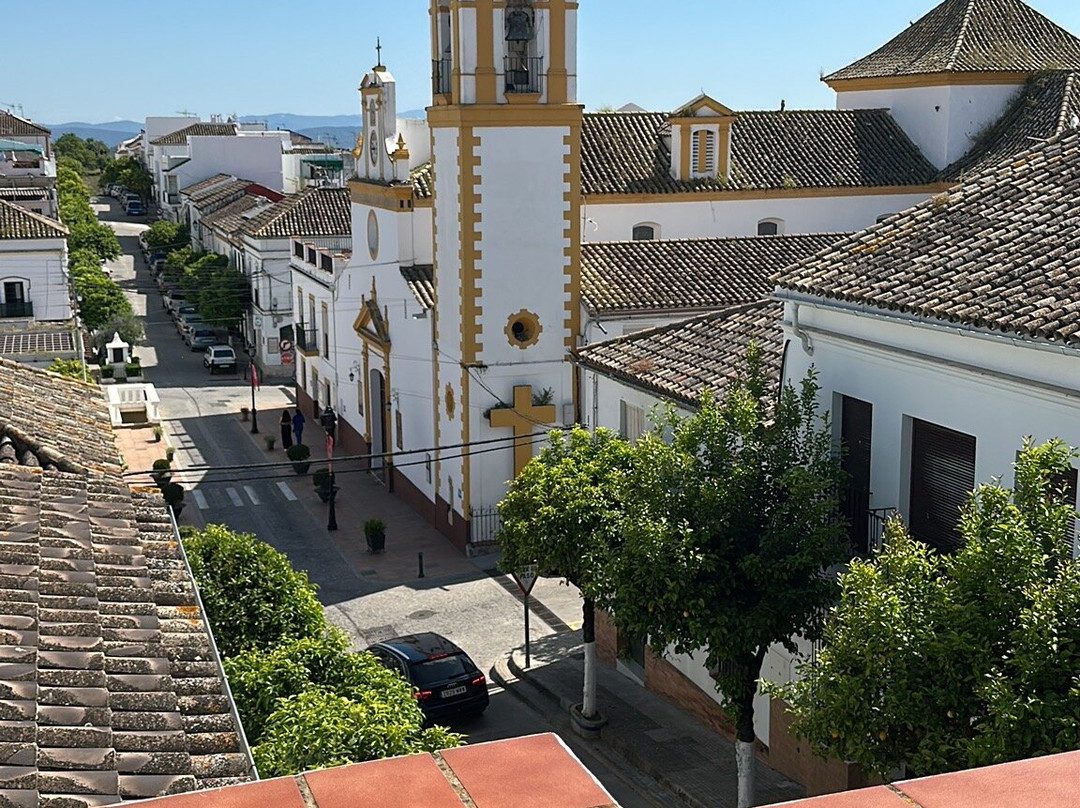 Academia Pradoventura-Prado del Rey必去景点