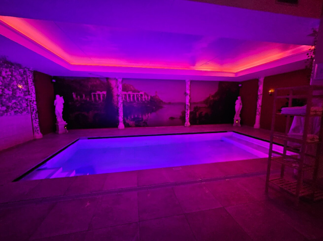 Aarts Wellness主图