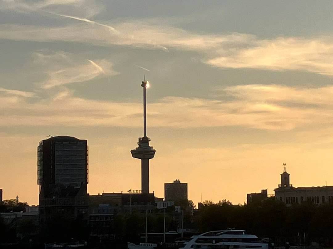 City Hall Rotterdam-鹿特丹必去景点