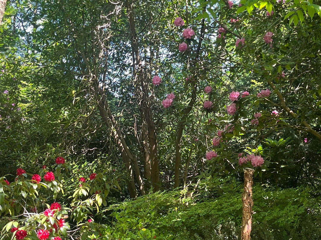 Cheslyn House & Gardens-沃特福德必去景点