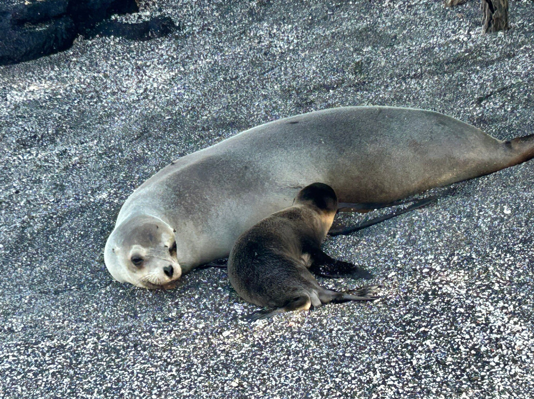 Fragata Yacht-Baltra必去景点