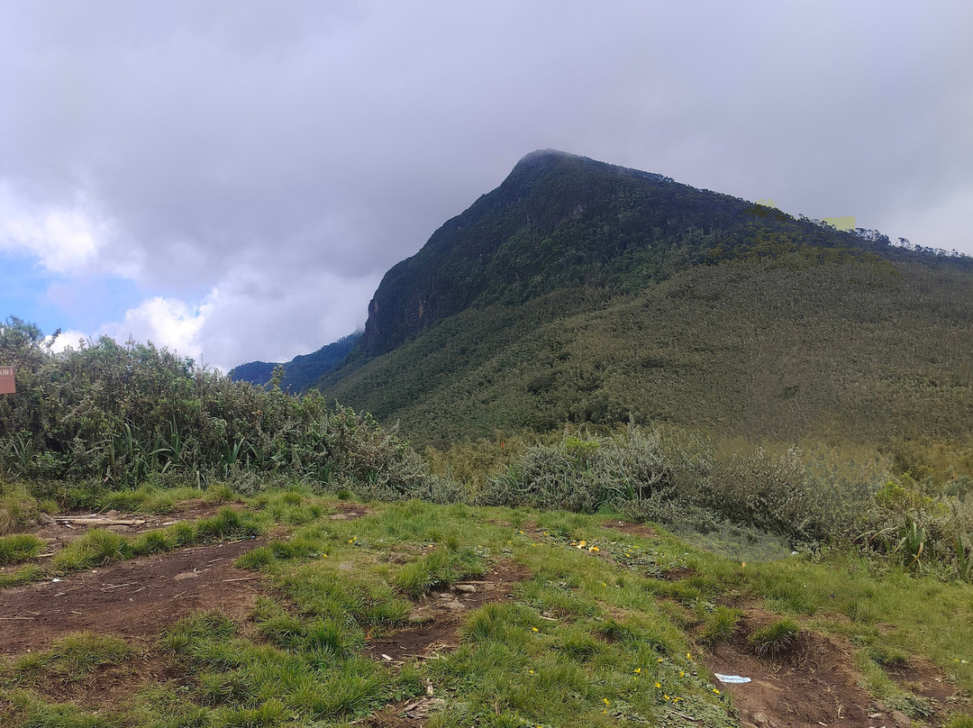 Elephant Hill-内罗毕必去景点