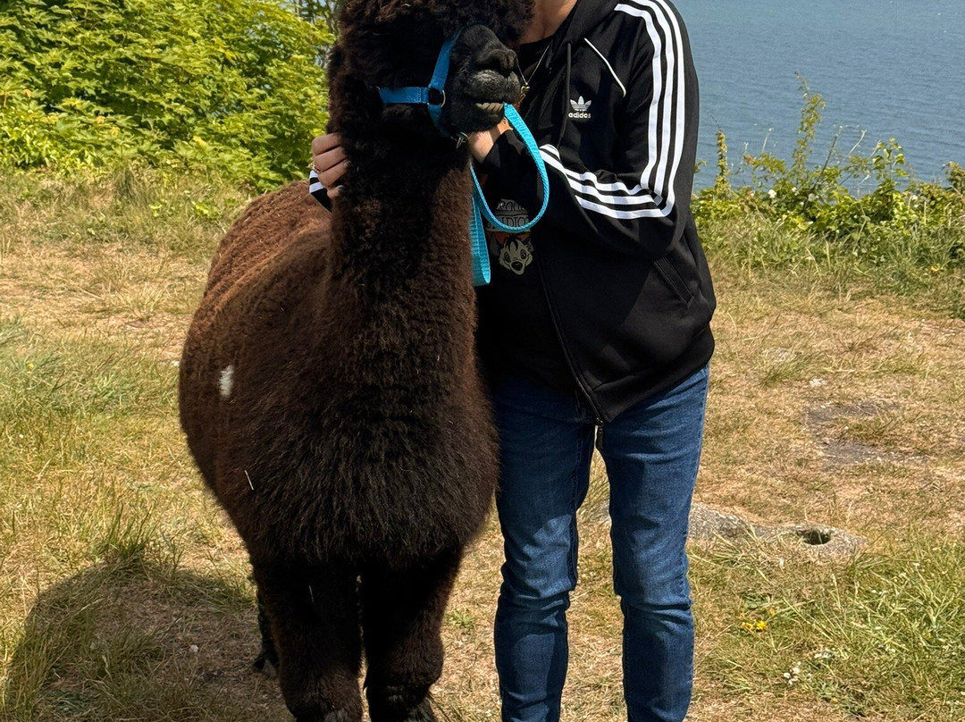 Portland Alpaca Trekking-Weston必去景点