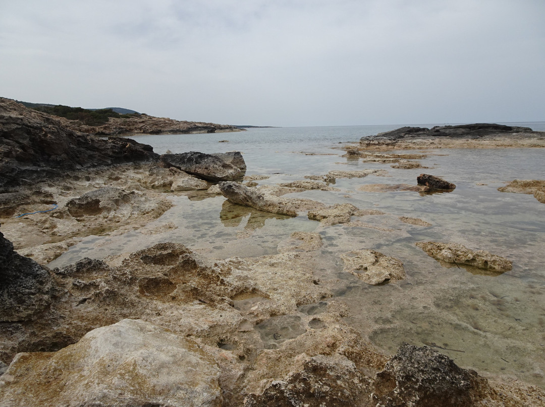 Akamas Peninsula-Neo Chorion必去景点