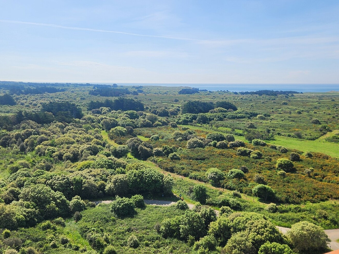 Le Grand Phare-Ile d'Yeu必去景点