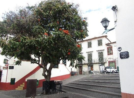 Zona Velha-沙尔必去景点