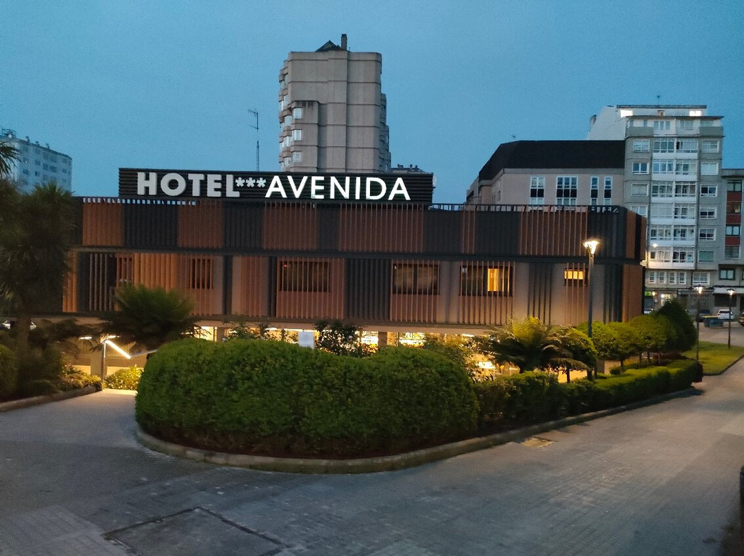 Avenida Hotel主图