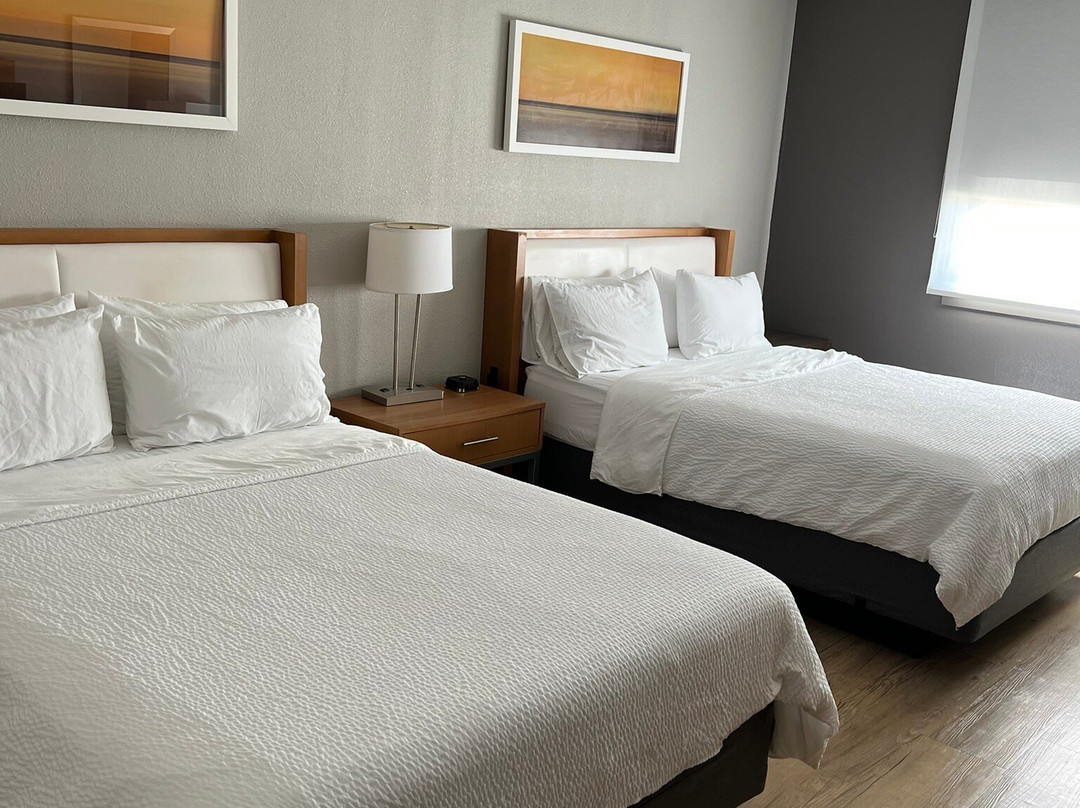 Holiday Inn St Louis Sw - Route 66 By IHG主图