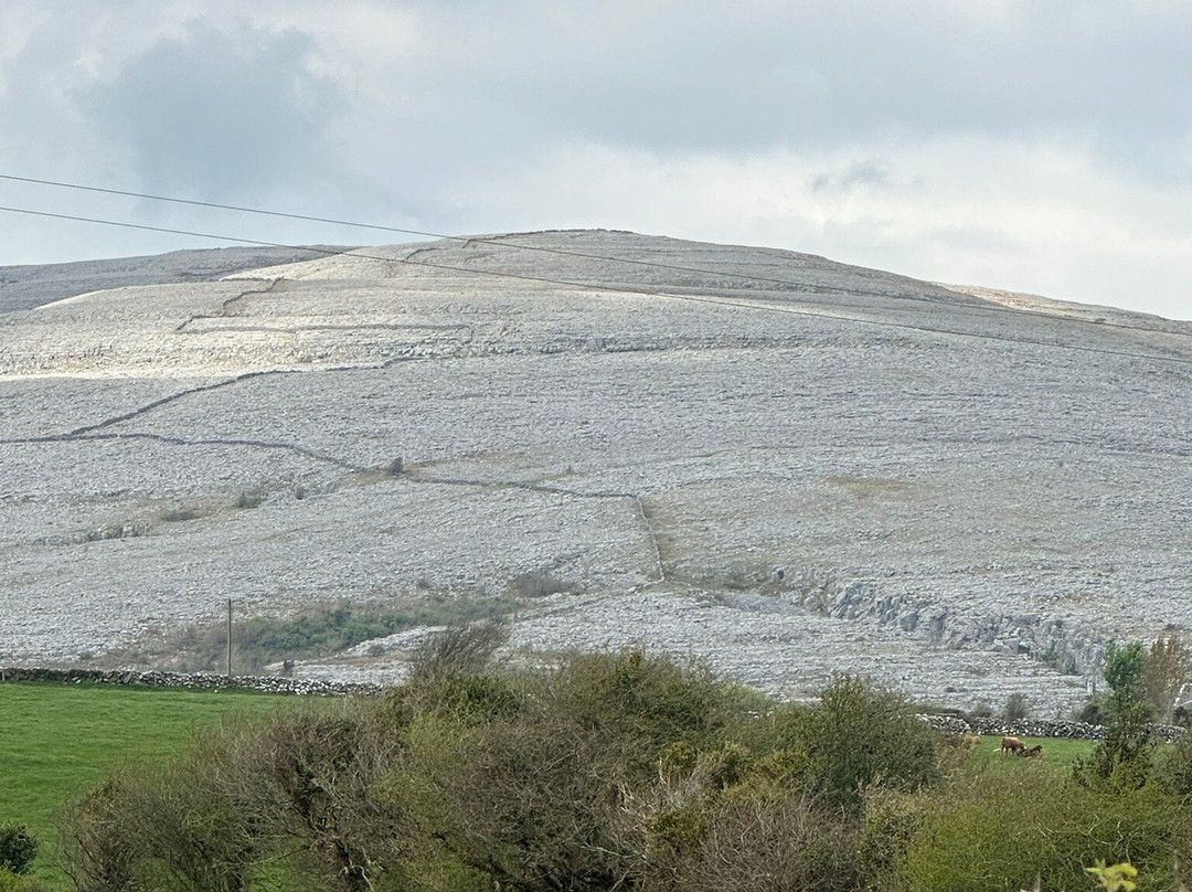 The Burren National Park景点图片