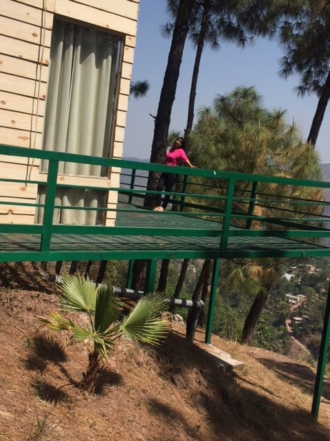 Kasauli Hills Resort主图