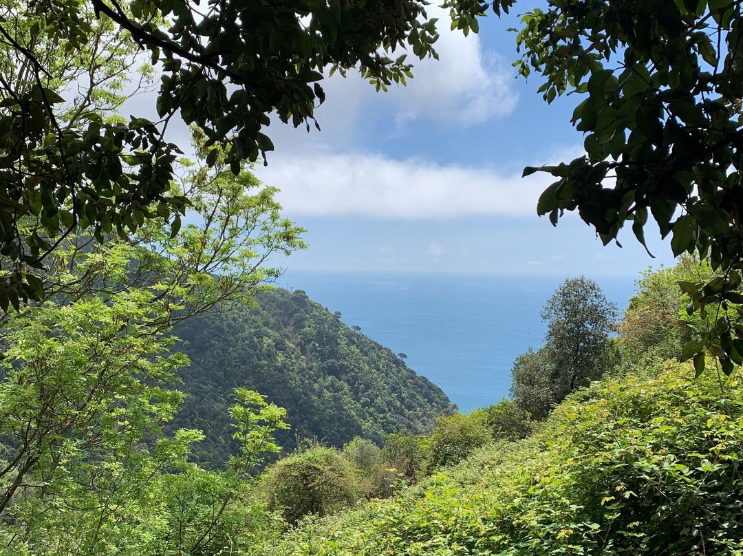 Sentiero san Rocco-Batterie-san Fruttuoso-卡莫利必去景点