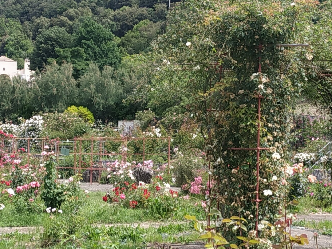 Roseto Vacunae Rosae景点图片