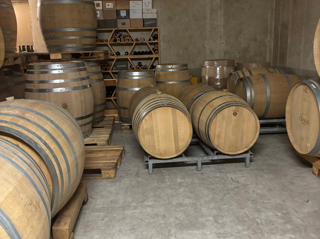 Azienda Agricola Comai景点图片