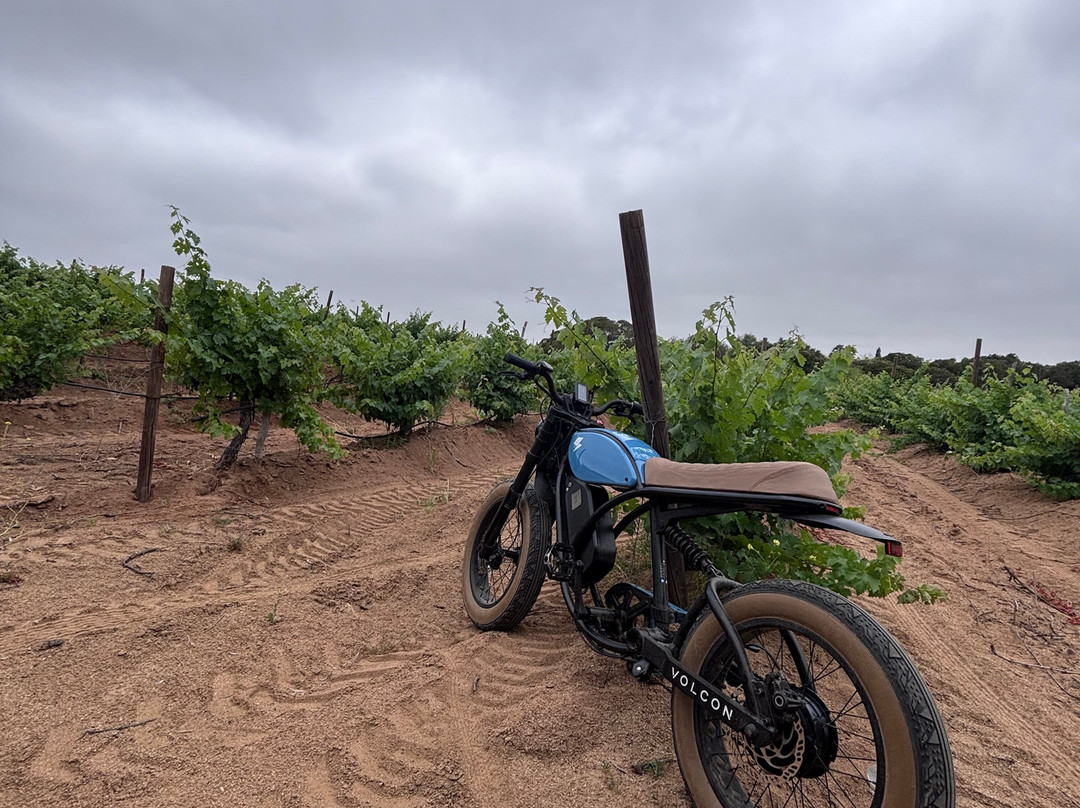 Bodegas De Santo Tomás景点图片
