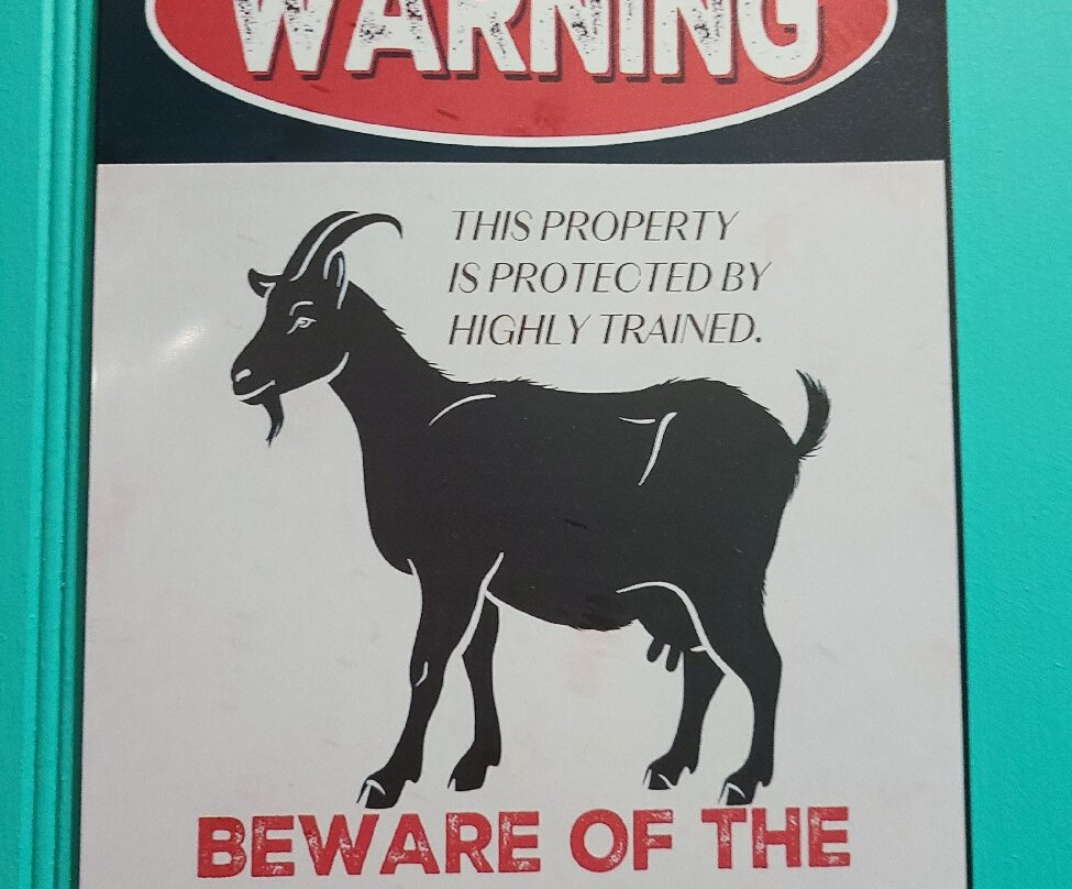 Two Drunken Goats-Singer Island必去景点