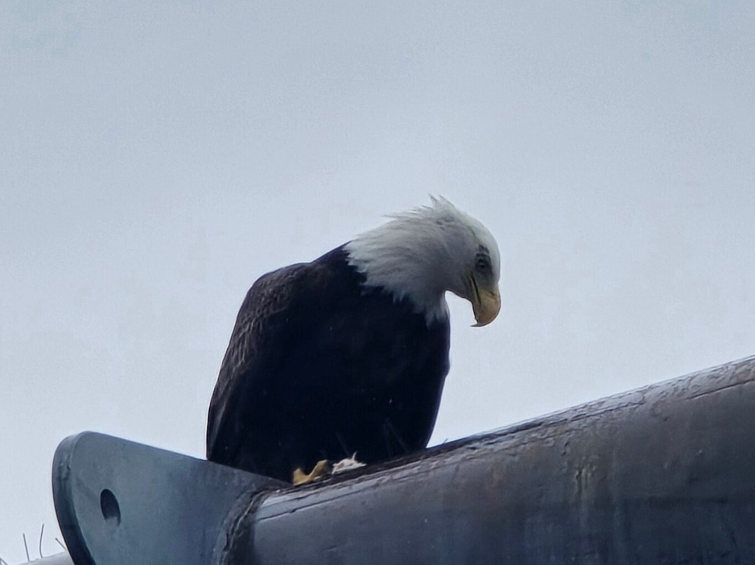 Juneau Lighthouse Tours-朱诺必去景点