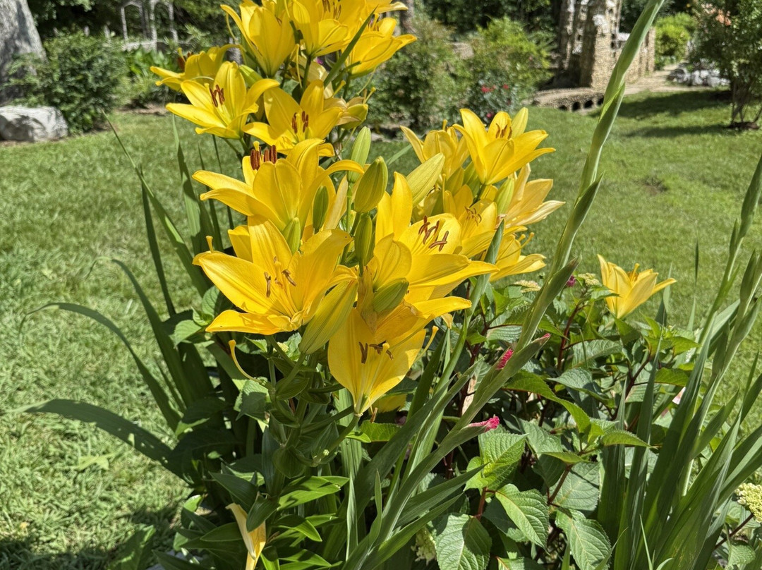 The Rock Garden-Calhoun必去景点