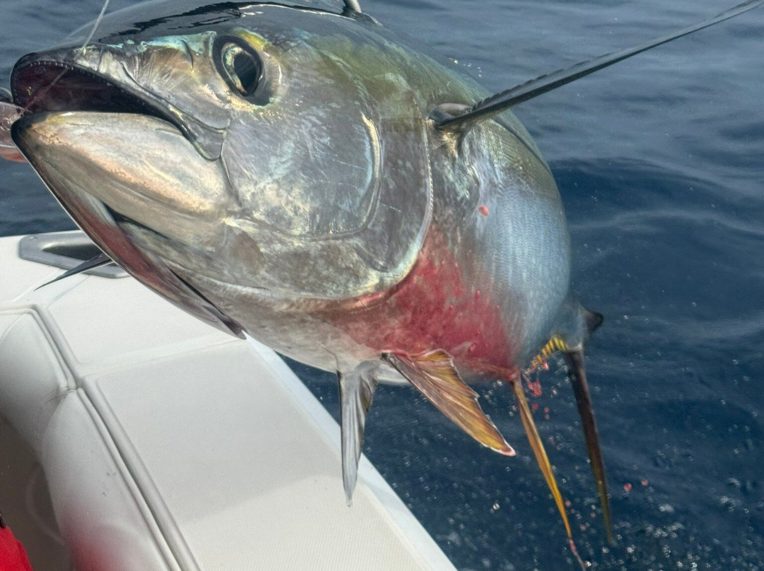 Jen Wren Sportfishing-Los Barriles必去景点