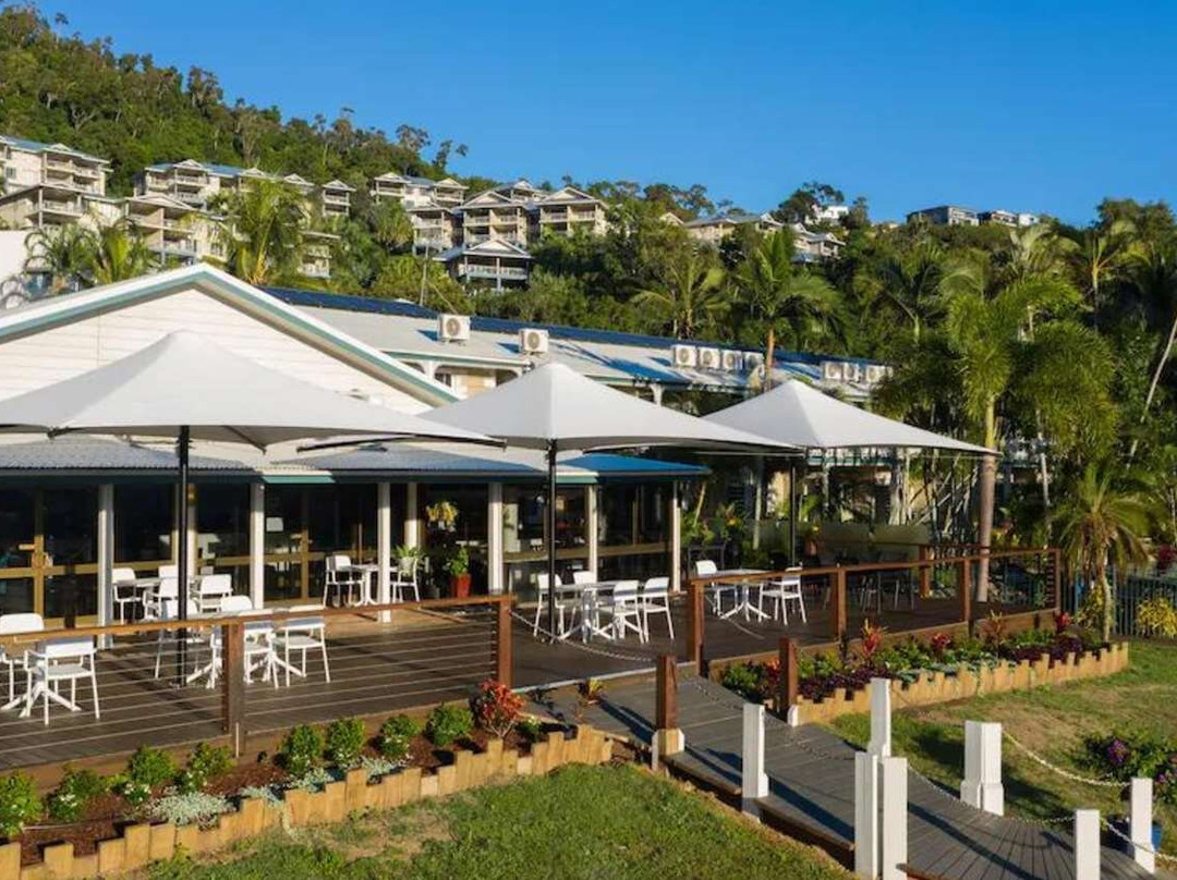 汉密尔顿岛酒店住宿-殖民地棕榈汽车旅馆