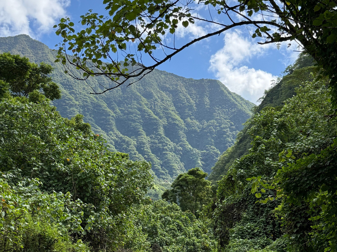 Tahiti Safari Expedition景点图片