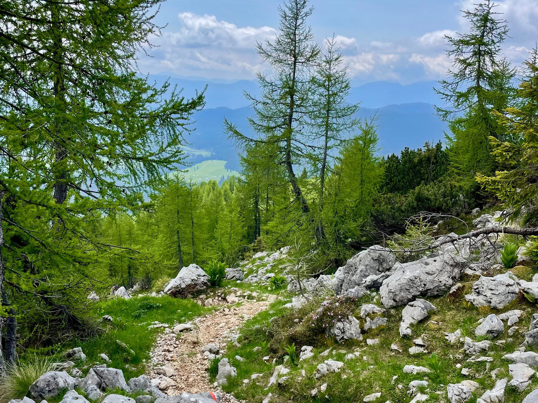 Exploring Slovenia-布莱德必去景点