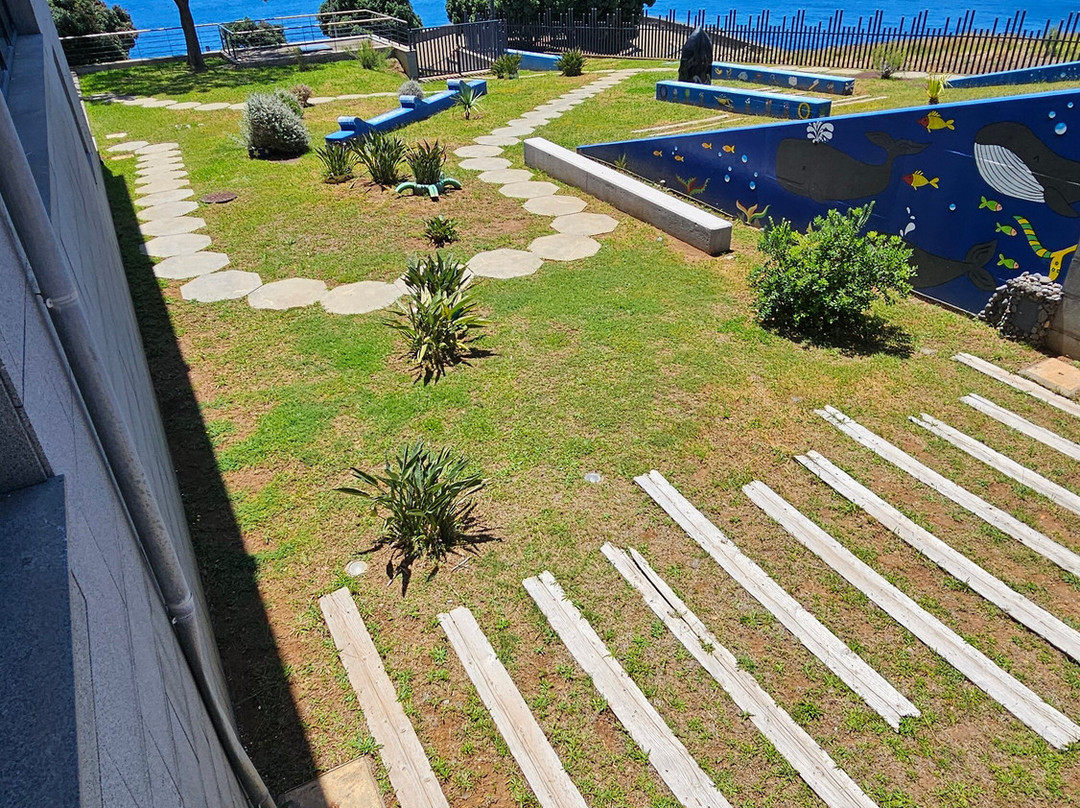 Museu da Baleia da Madeira-卡尼卡尔必去景点